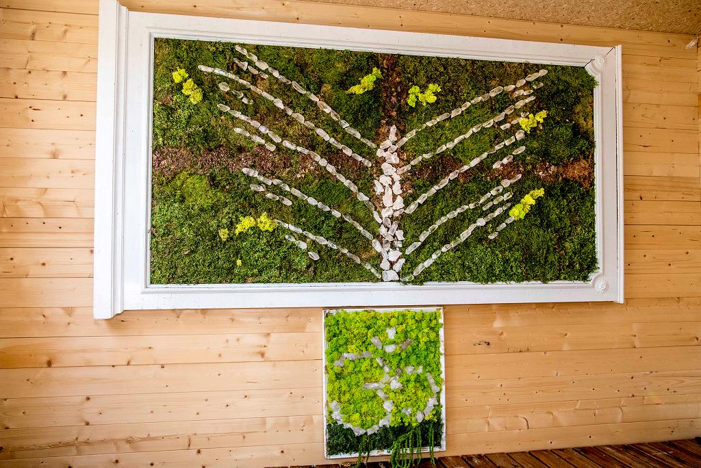 Intérieur de la Chambre de Cristal : nature et cristaux